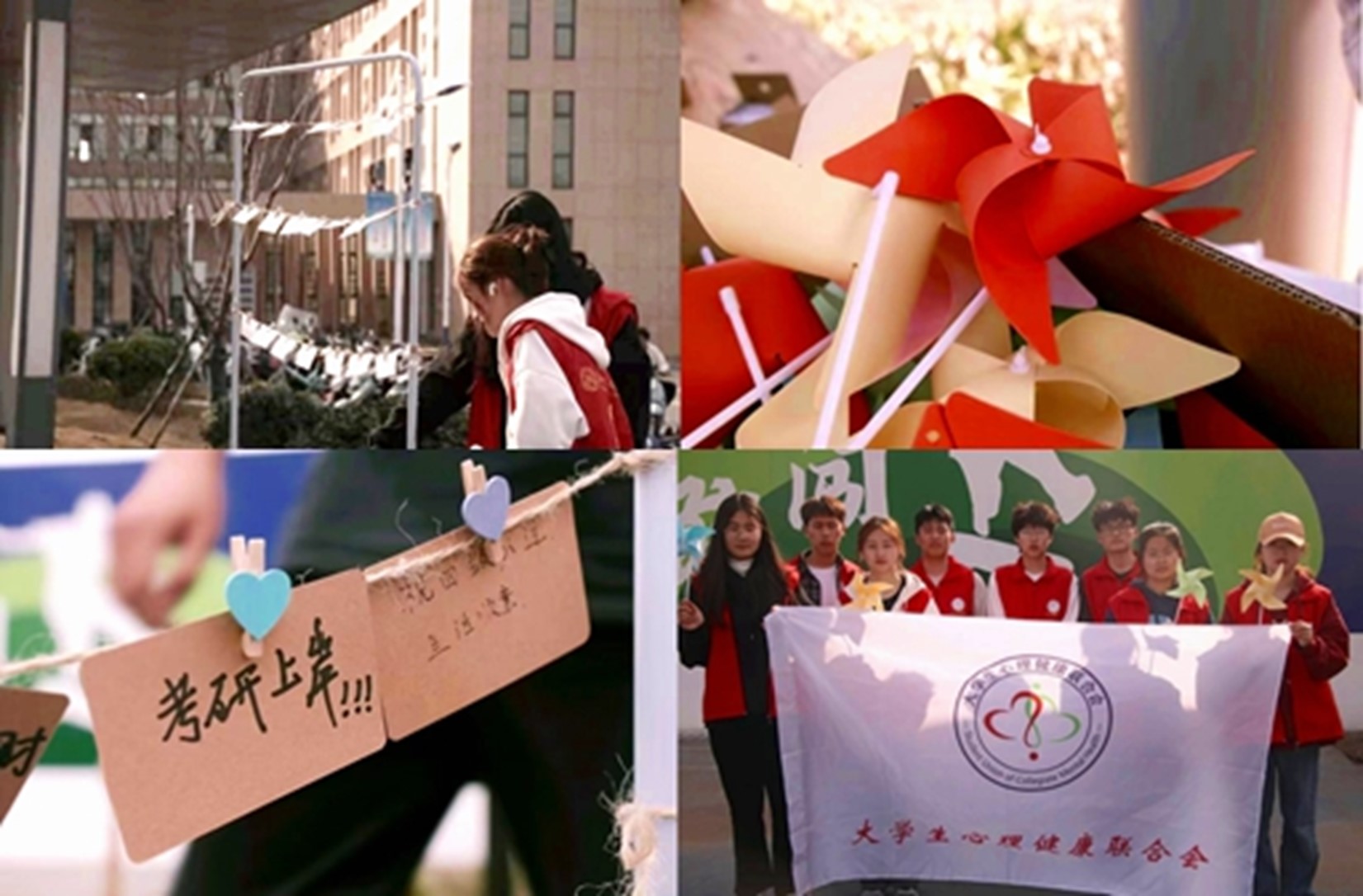 图片1.jpg 图片1.jpg